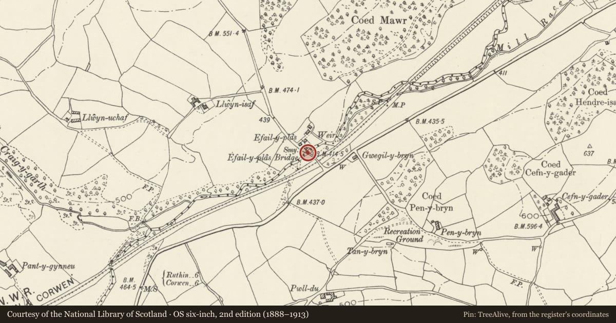 Ordnance Survey six-inch map, 2nd edition (1888–1913) covering the location of Efail-y-plas bridge (partly in Derwen Community), Llanelidan, Denbighshire, with a pin at the register's coordinates