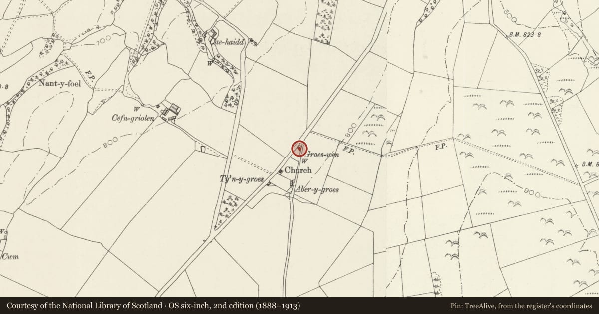 Ordnance Survey six-inch map, 2nd edition (1888–1913) covering the location of Groes-wen, Llanelidan, Denbighshire, with a pin at the register's coordinates