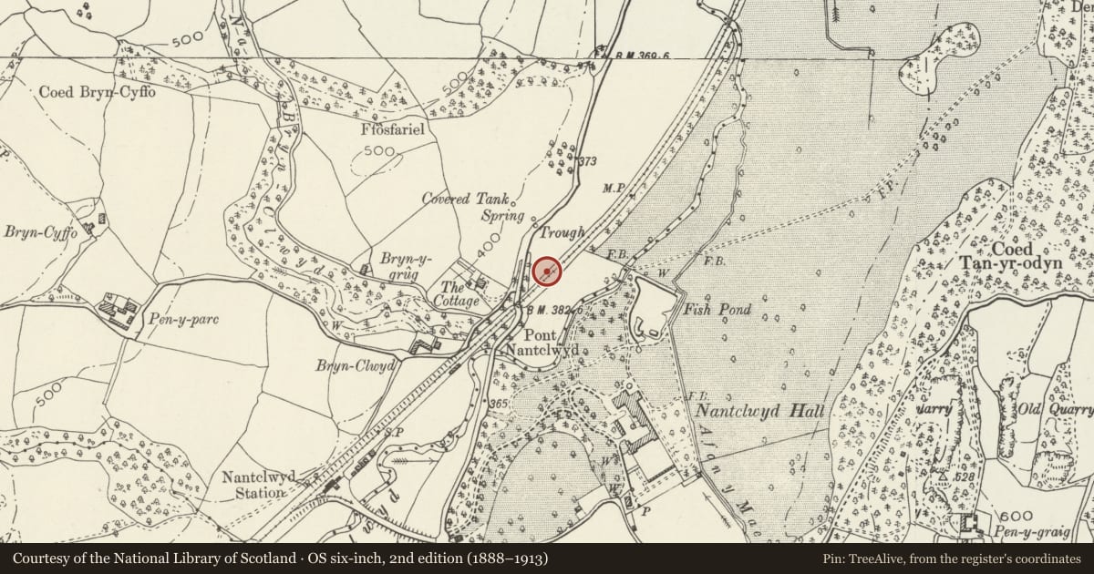 Ordnance Survey six-inch map, 2nd edition (1888–1913) covering the location of Stag and Hounds Sculpture and Pedestal on entrance axis to Nantclwyd Hall, Llanelidan, Denbighshire, with a pin at the register's coordinates