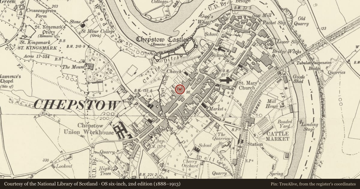 Ordnance Survey six-inch map, 2nd edition (1888–1913) covering the location of Raglan Lodge, Chepstow, Monmouthshire, with a pin at the register's coordinates