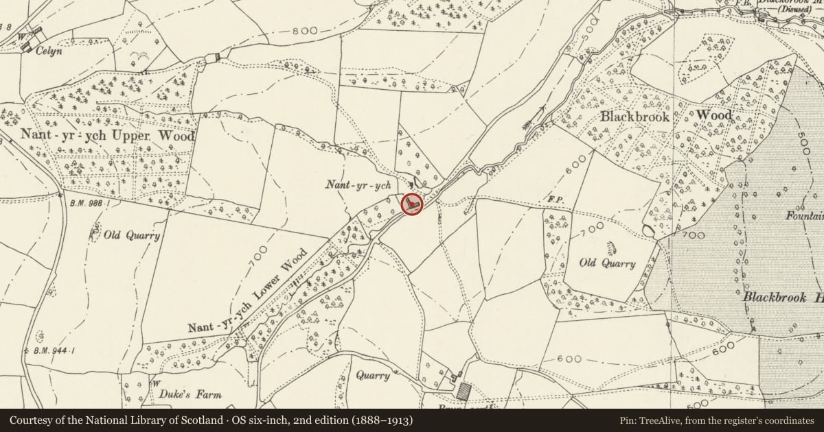 Ordnance Survey six-inch map, 2nd edition (1888–1913) covering the location of Nant-yr-yrch Farmhouse, Skenfrith, Monmouthshire, with a pin at the register's coordinates