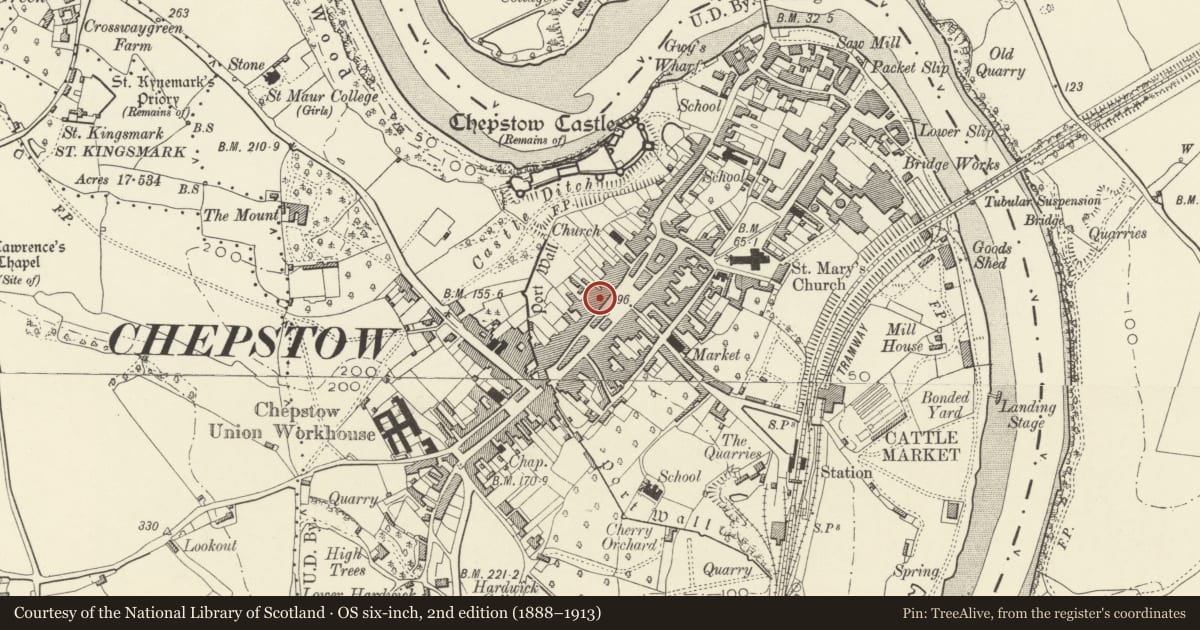 Ordnance Survey six-inch map, 2nd edition (1888–1913) covering the location of 14 Beaufort Square, Chepstow, Monmouthshire, with a pin at the register's coordinates