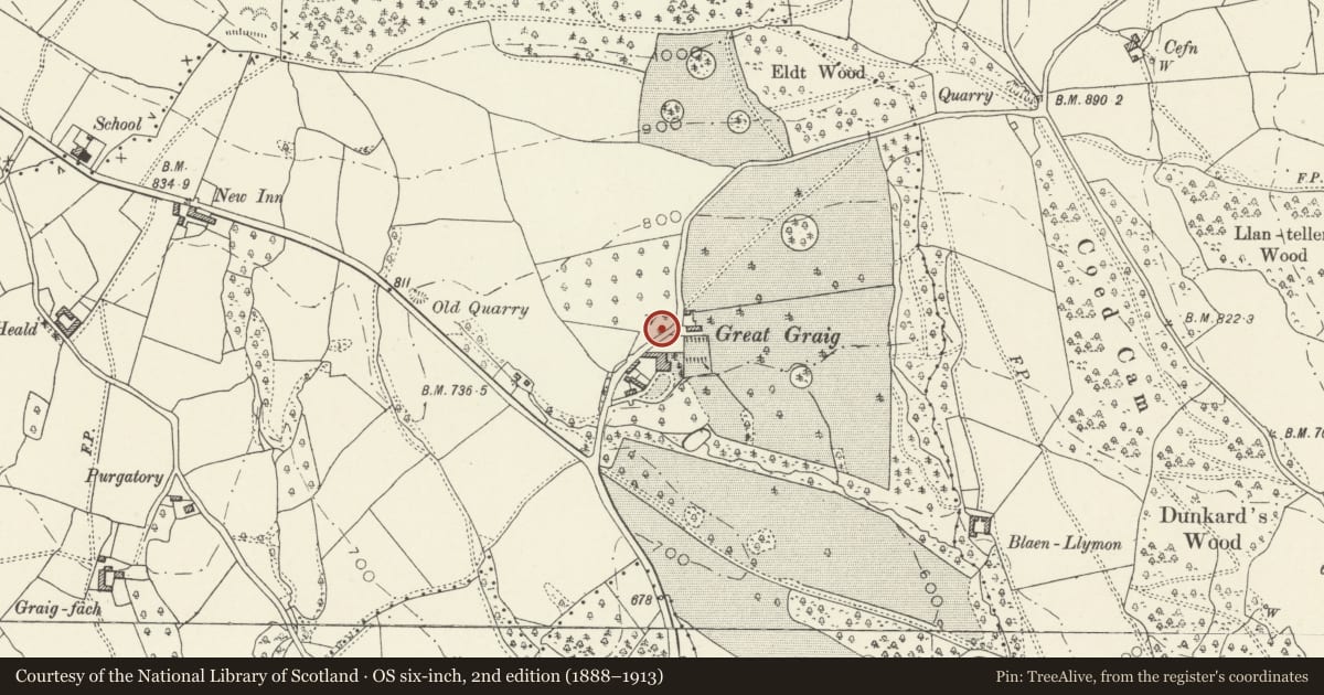 Ordnance Survey six-inch map, 2nd edition (1888–1913) covering the location of Well-house to N of Graig House, Skenfrith, Monmouthshire, with a pin at the register's coordinates