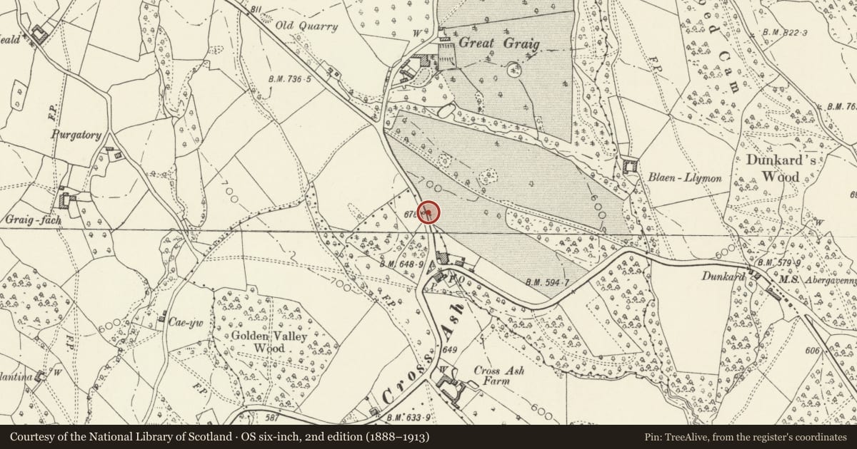 Ordnance Survey six-inch map, 2nd edition (1888–1913) covering the location of Well-house on E side of lane, opposite village hall, Skenfrith, Monmouthshire, with a pin at the register's coordinates