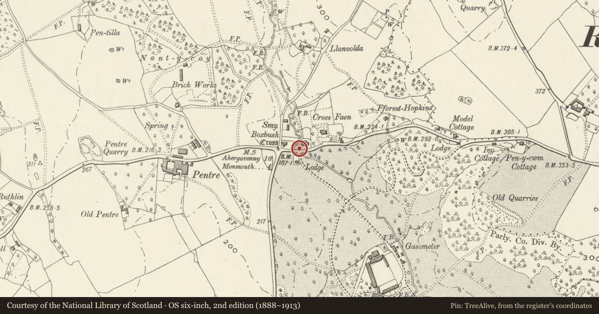Ordnance Survey six-inch map, 2nd edition (1888–1913) covering the location of Horse trough with flanking walls opposite N drive to The Hendre, Whitecastle, Monmouthshire, with a pin at the register's coordinates