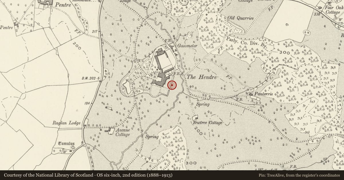 Ordnance Survey six-inch map, 2nd edition (1888–1913) covering the location of Garden pavilion, raised terrace and screen wall to former rose garden to E&S of The Hendre, Whitecastle, Monmouthshire, with a pin at the register's coordinates
