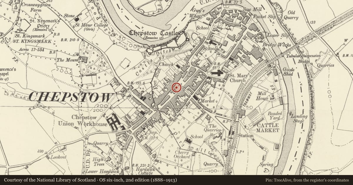Ordnance Survey six-inch map, 2nd edition (1888–1913) covering the location of War Memorial, Chepstow, Monmouthshire, with a pin at the register's coordinates