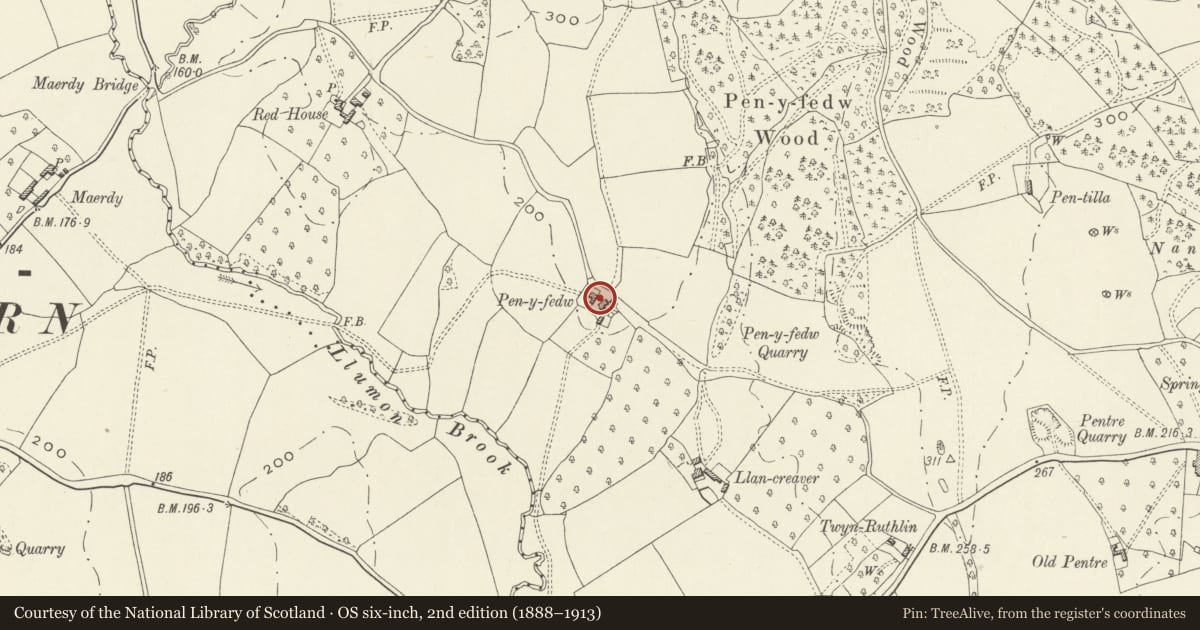 Ordnance Survey six-inch map, 2nd edition (1888–1913) covering the location of Pen-y-fedw Farmhouse, Whitecastle, Monmouthshire, with a pin at the register's coordinates