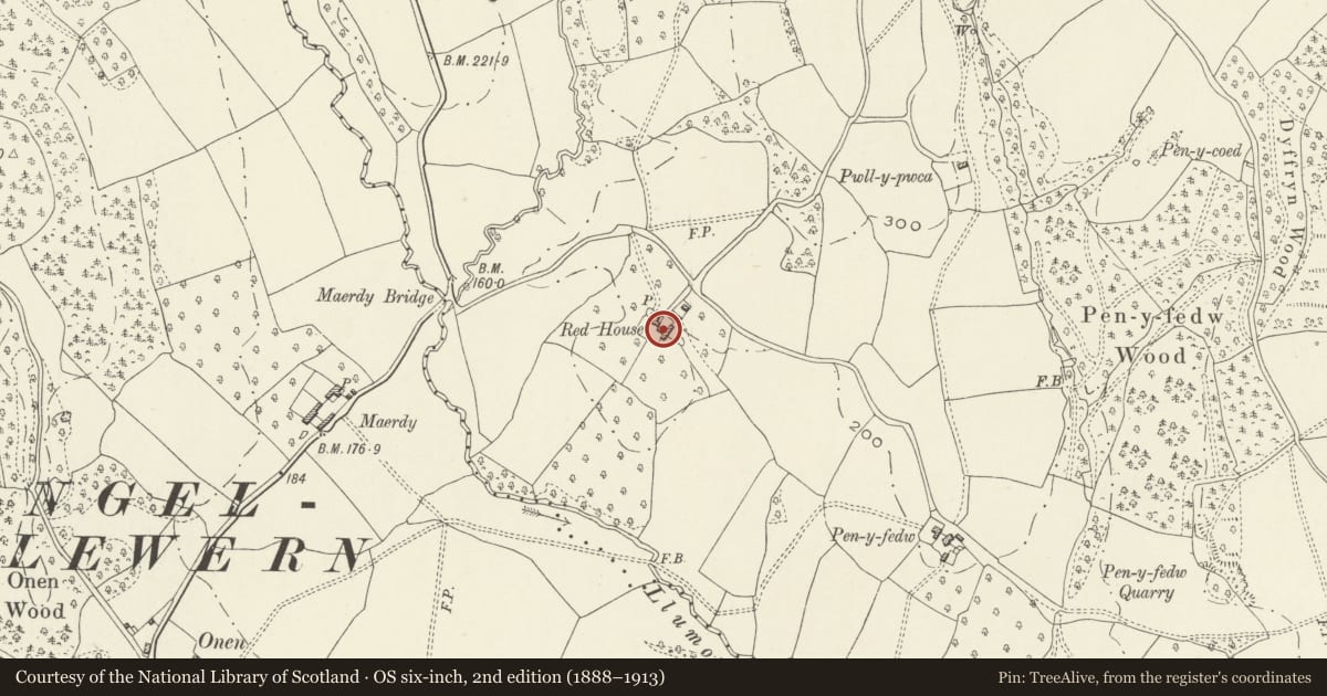 Ordnance Survey six-inch map, 2nd edition (1888–1913) covering the location of Barn and attached cattle shed to SE of Red House Farmhouse, Whitecastle, Monmouthshire, with a pin at the register's coordinates