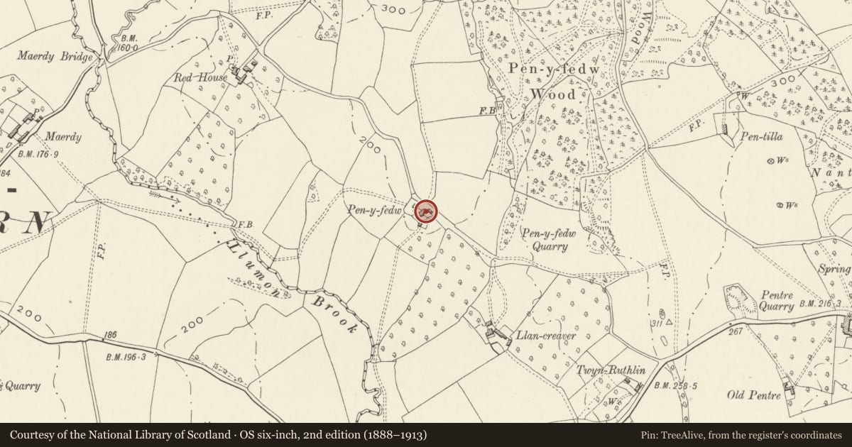 Ordnance Survey six-inch map, 2nd edition (1888–1913) covering the location of Barn to S of Pen-y-fedw Farmhouse, Whitecastle, Monmouthshire, with a pin at the register's coordinates