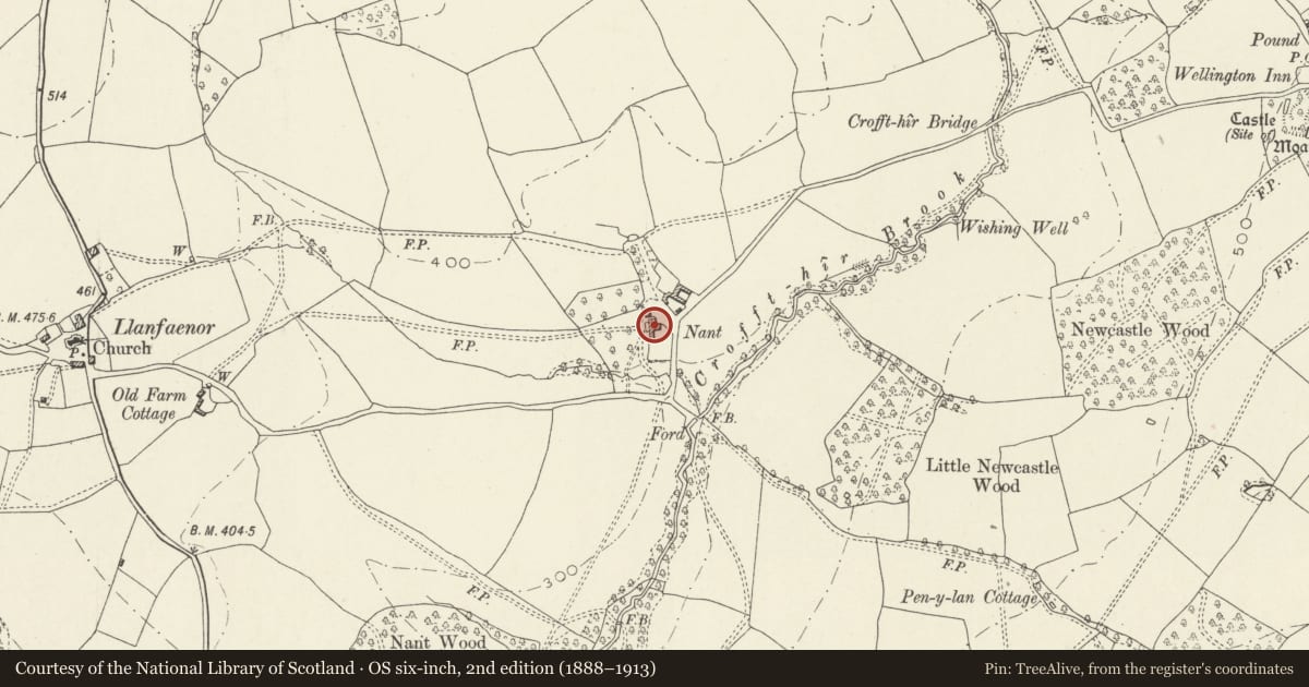 Ordnance Survey six-inch map, 2nd edition (1888–1913) covering the location of Nant Farmhouse, with attached former cider mill, Whitecastle, Monmouthshire, with a pin at the register's coordinates