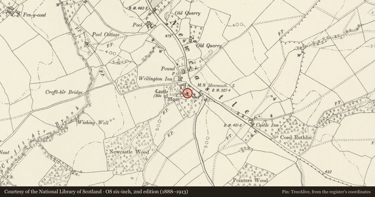 Ordnance Survey six-inch map, 2nd edition (1888–1913) covering the location of Newcastle Farmhouse, Whitecastle, Monmouthshire, with a pin at the register's coordinates