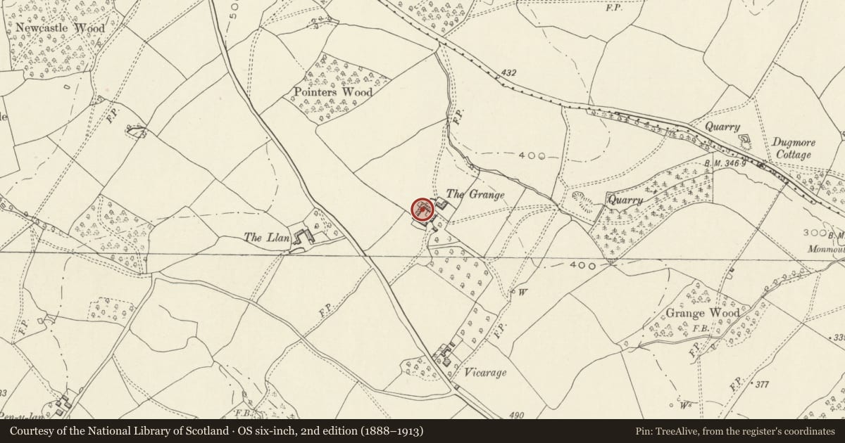 Ordnance Survey six-inch map, 2nd edition (1888–1913) covering the location of Farmstead complex to NW of The Grange Farmhouse including walled poultry enclosure to NE, Whitecastle, Monmouthshire, with a pin at the register's coordinates