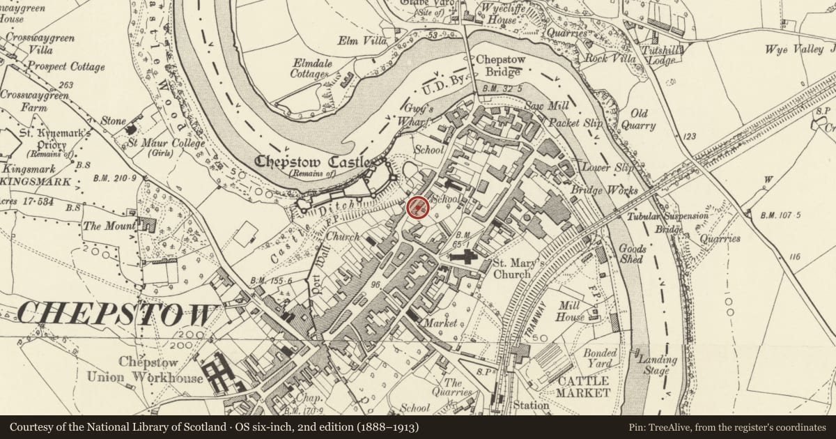 Ordnance Survey six-inch map, 2nd edition (1888–1913) covering the location of Castle House, Chepstow, Monmouthshire, with a pin at the register's coordinates