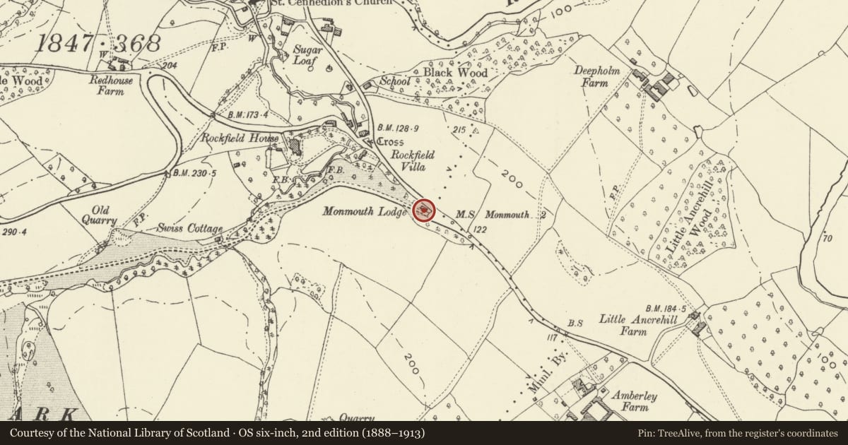 Ordnance Survey six-inch map, 2nd edition (1888–1913) covering the location of Monmouth Lodge, Whitecastle, Monmouthshire, with a pin at the register's coordinates