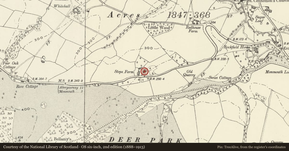 Ordnance Survey six-inch map, 2nd edition (1888–1913) covering the location of Steps Farmhouse (aka Steppes Farm), Whitecastle, Monmouthshire, with a pin at the register's coordinates