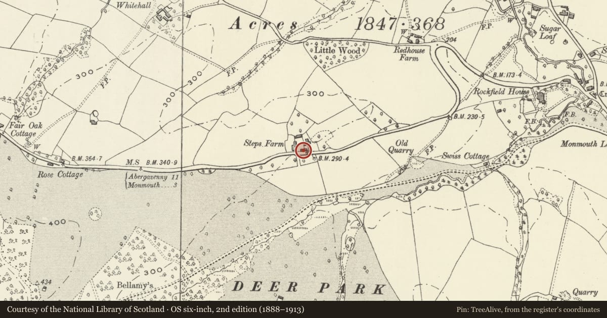Ordnance Survey six-inch map, 2nd edition (1888–1913) covering the location of Former cider-mill to S of Steps Farmhouse, Whitecastle, Monmouthshire, with a pin at the register's coordinates
