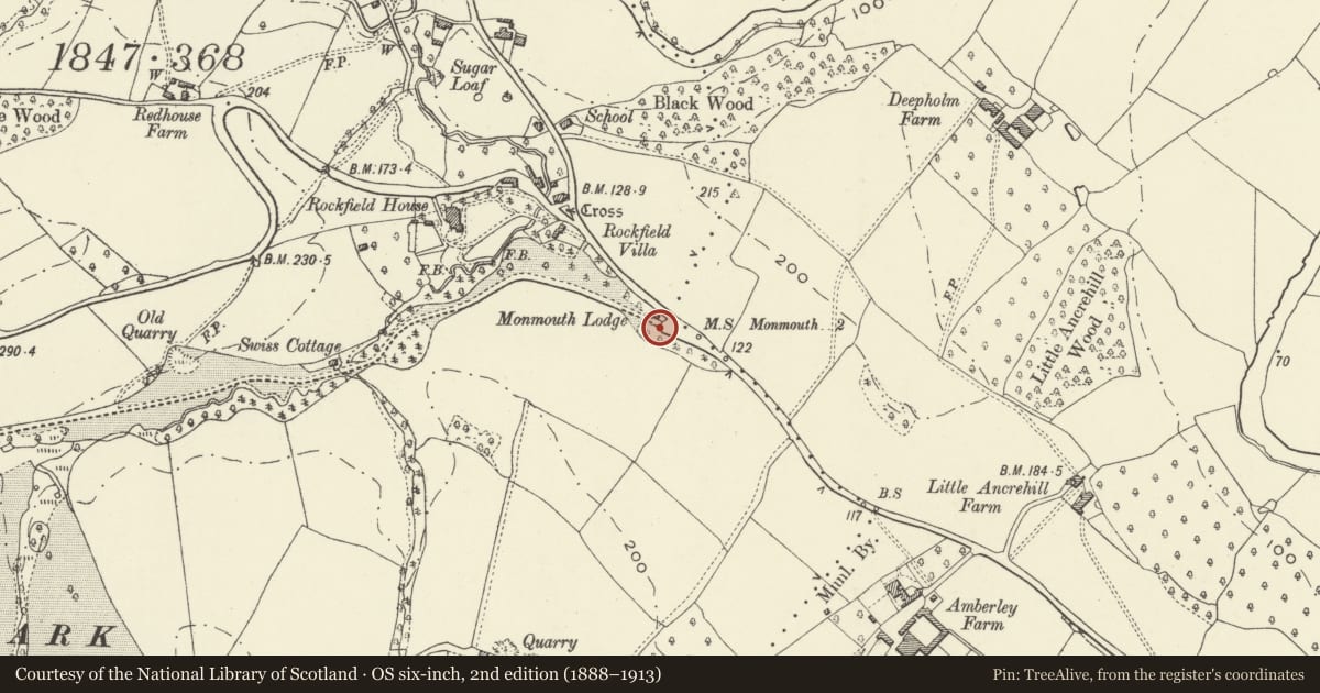 Ordnance Survey six-inch map, 2nd edition (1888–1913) covering the location of Gateway next to Monmouth Lodge, Whitecastle, Monmouthshire, with a pin at the register's coordinates