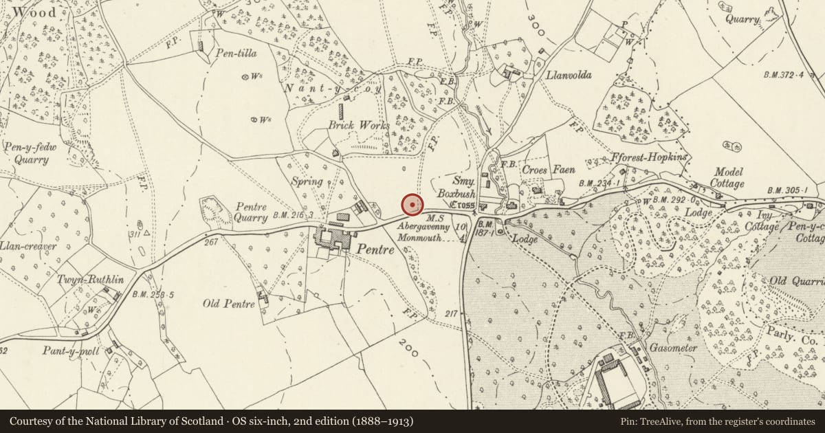 Ordnance Survey six-inch map, 2nd edition (1888–1913) covering the location of Oak House East and West, Whitecastle, Monmouthshire, with a pin at the register's coordinates
