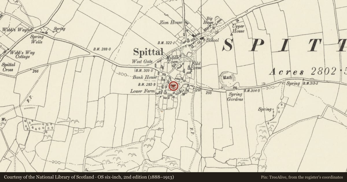 Ordnance Survey six-inch map, 2nd edition (1888–1913) covering the location of Church of Saint Mary, Spittal, Pembrokeshire, with a pin at the register's coordinates