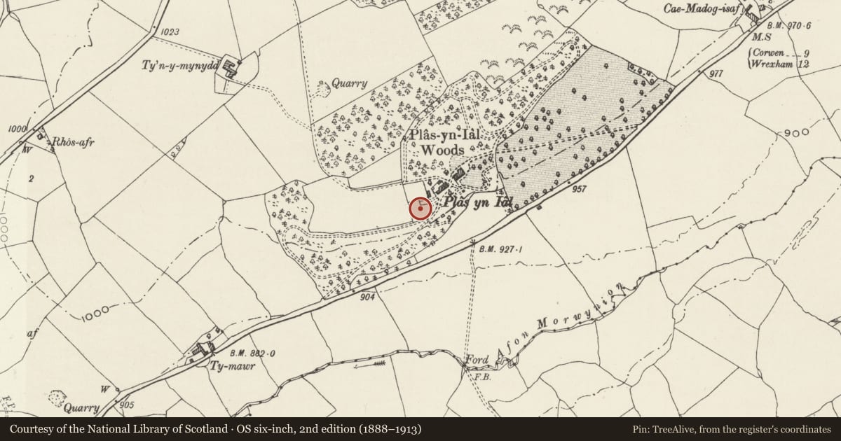 Ordnance Survey six-inch map, 2nd edition (1888–1913) covering the location of Statue of a Barbarian to south of the walled garden at Plas-yn-Iâl, Bryneglwys, Denbighshire, with a pin at the register's coordinates