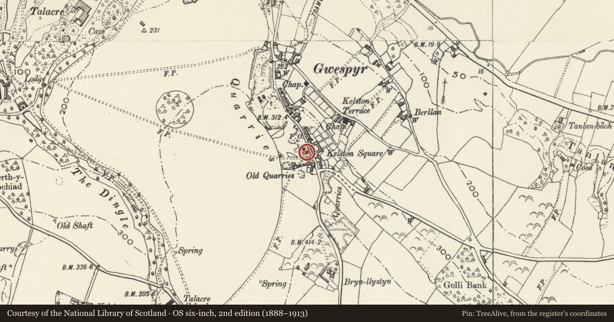 Ordnance Survey six-inch map, 2nd edition (1888–1913) covering the location of Gwespyr War Memorial, Llanasa, Flintshire, with a pin at the register's coordinates