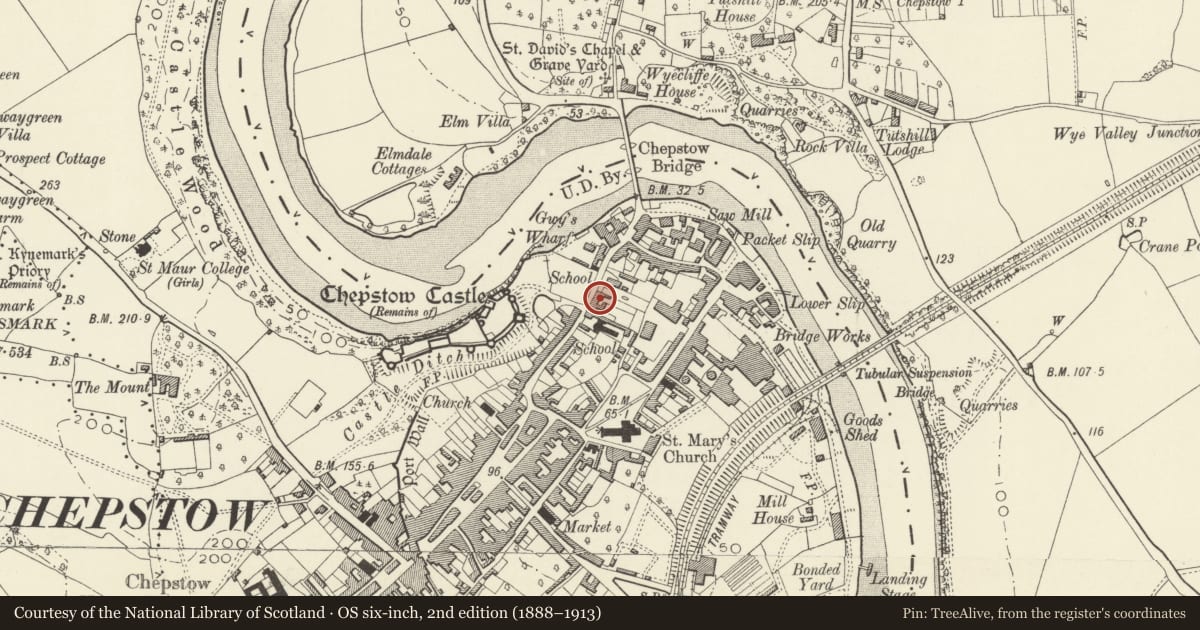 Ordnance Survey six-inch map, 2nd edition (1888–1913) covering the location of Castle View Hotel, Chepstow, Monmouthshire, with a pin at the register's coordinates