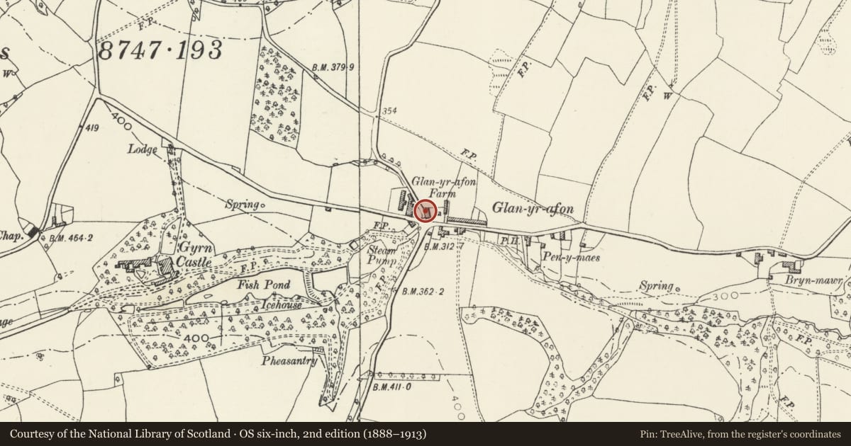Ordnance Survey six-inch map, 2nd edition (1888–1913) covering the location of Stone Cottage (also known as Ffordd Dwr), Llanasa, Flintshire, with a pin at the register's coordinates