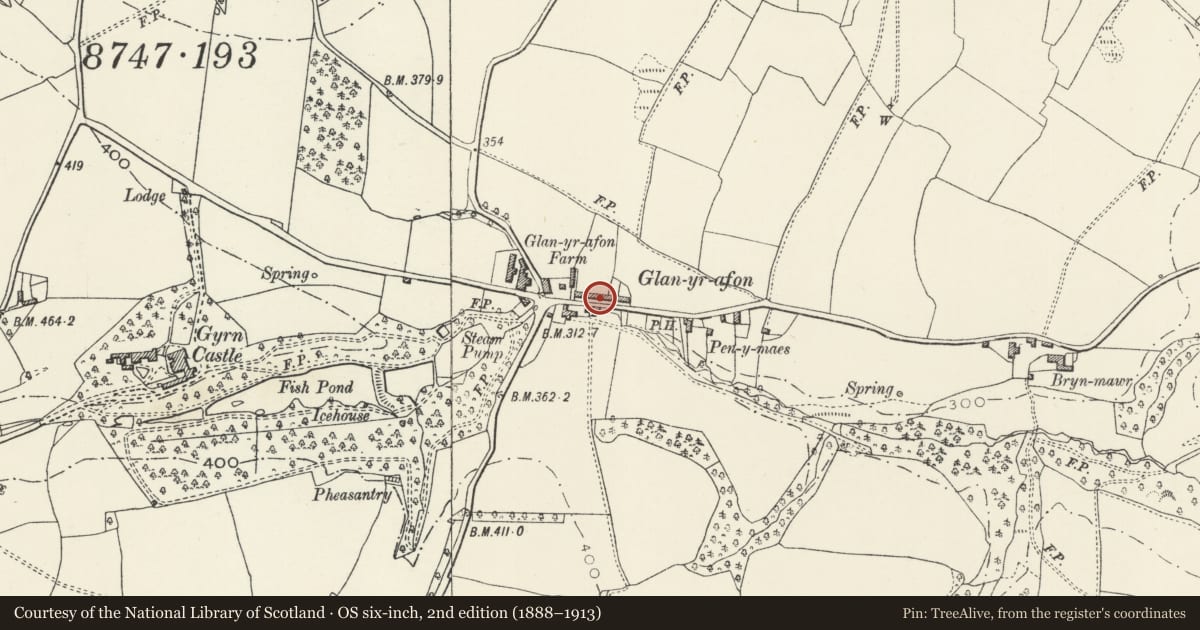 Ordnance Survey six-inch map, 2nd edition (1888–1913) covering the location of 9 Glanyrafon Cottages, Llanasa, Flintshire, with a pin at the register's coordinates