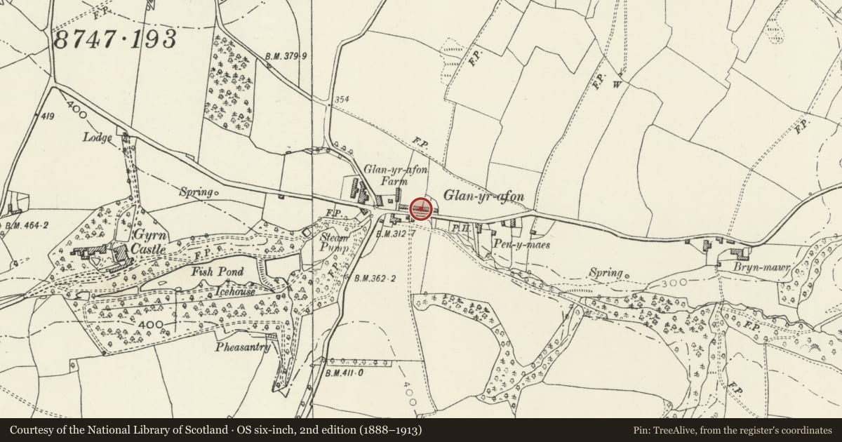 Ordnance Survey six-inch map, 2nd edition (1888–1913) covering the location of 11 Glanyrafon Cottages, Llanasa, Flintshire, with a pin at the register's coordinates