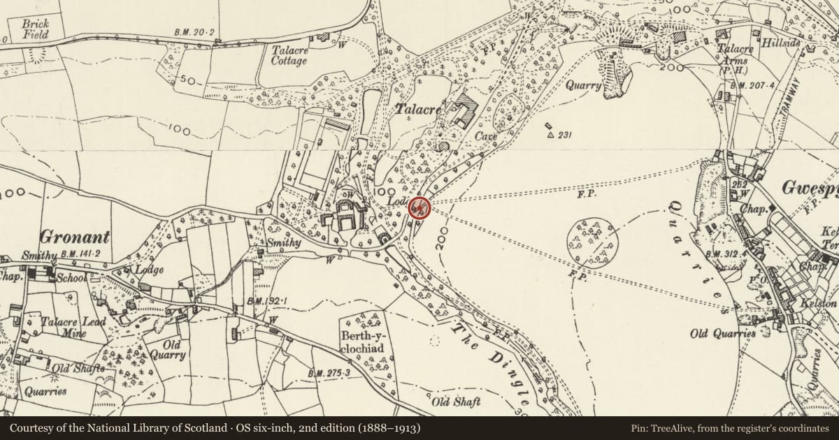 Ordnance Survey six-inch map, 2nd edition (1888–1913) covering the location of St Benedict's Lodge, Llanasa, Flintshire, with a pin at the register's coordinates