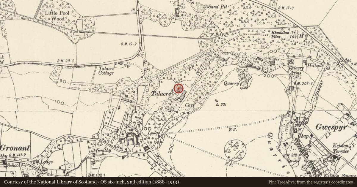 Ordnance Survey six-inch map, 2nd edition (1888–1913) covering the location of Terrace on N side of Talacre Abbey, Llanasa, Flintshire, with a pin at the register's coordinates