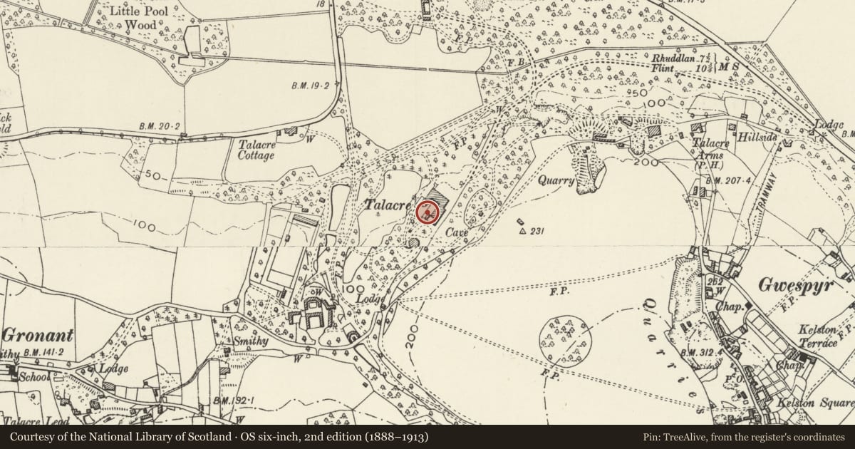 Ordnance Survey six-inch map, 2nd edition (1888–1913) covering the location of Walls enclosing service yard at Talacre Abbey, with steps to garden, Llanasa, Flintshire, with a pin at the register's coordinates