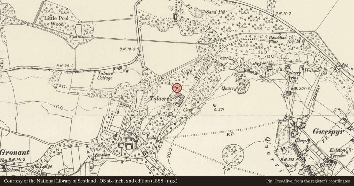 Ordnance Survey six-inch map, 2nd edition (1888–1913) covering the location of Garden steps on N side of Talacre Abbey, Llanasa, Flintshire, with a pin at the register's coordinates
