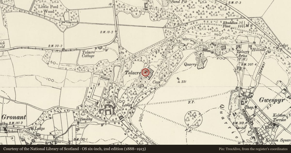 Ordnance Survey six-inch map, 2nd edition (1888–1913) covering the location of Fountain and associated rockwork at Talacre Abbey, Llanasa, Flintshire, with a pin at the register's coordinates