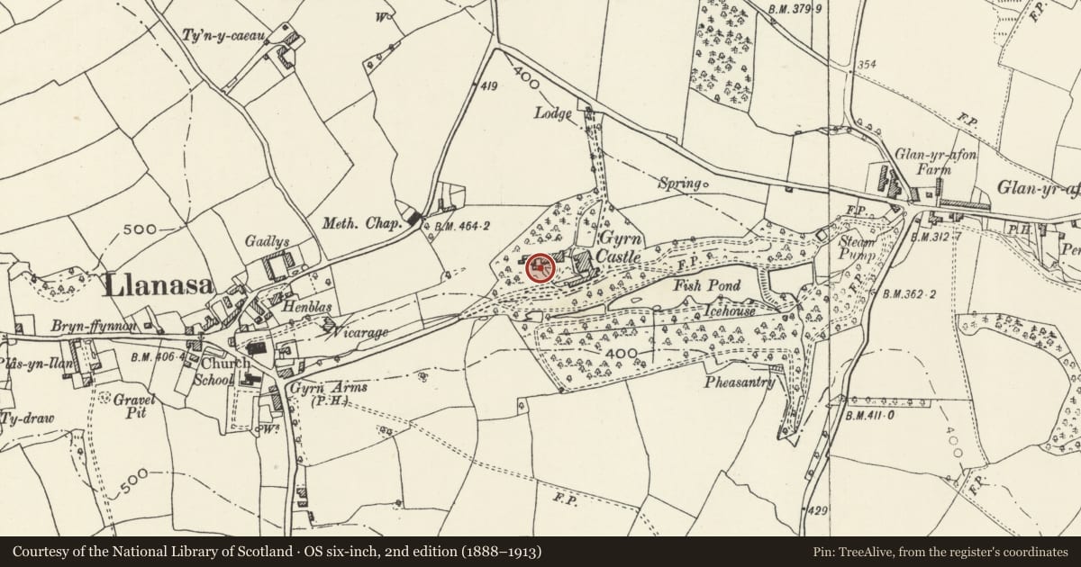 Ordnance Survey six-inch map, 2nd edition (1888–1913) covering the location of Stable at W end of service yard at Gyrn Castle, Llanasa, Flintshire, with a pin at the register's coordinates