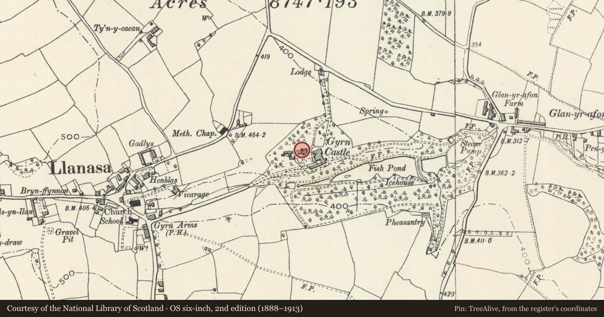 Ordnance Survey six-inch map, 2nd edition (1888–1913) covering the location of Coach house & stable block at Gyrn Castle, Llanasa, Flintshire, with a pin at the register's coordinates