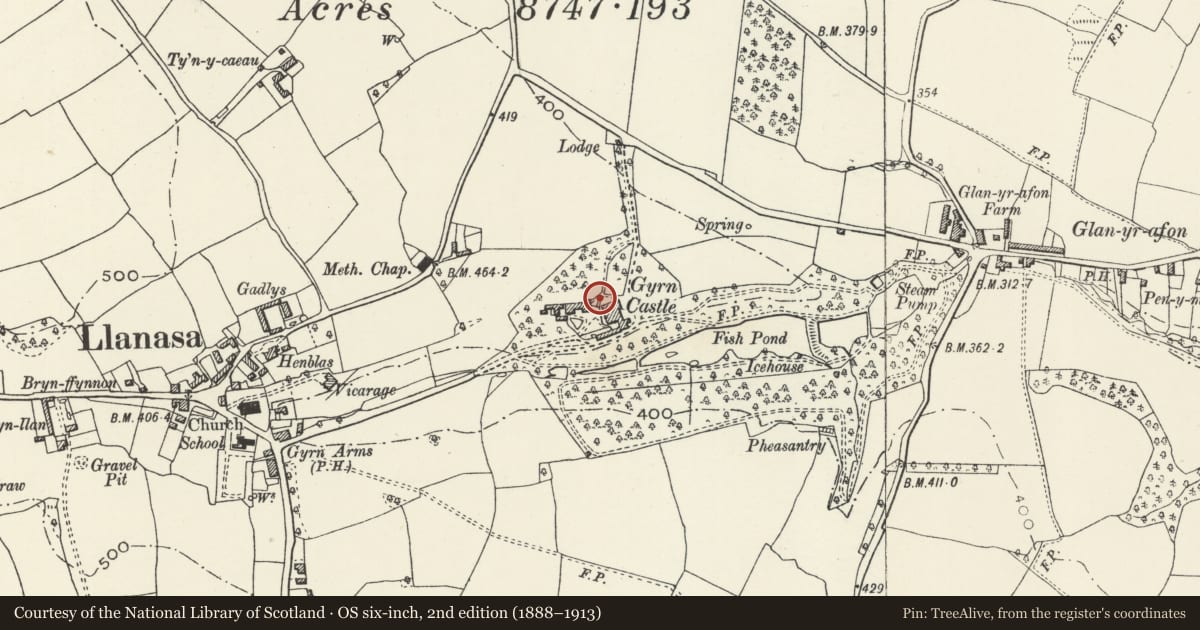 Ordnance Survey six-inch map, 2nd edition (1888–1913) covering the location of Gateway and wall to N side of service yard at Gyrn Castle, Llanasa, Flintshire, with a pin at the register's coordinates