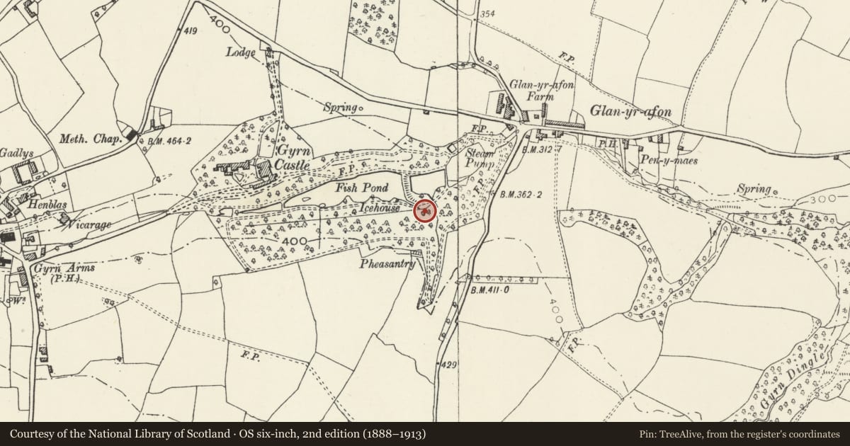 Ordnance Survey six-inch map, 2nd edition (1888–1913) covering the location of Ice House at Gyrn Castle, Llanasa, Flintshire, with a pin at the register's coordinates