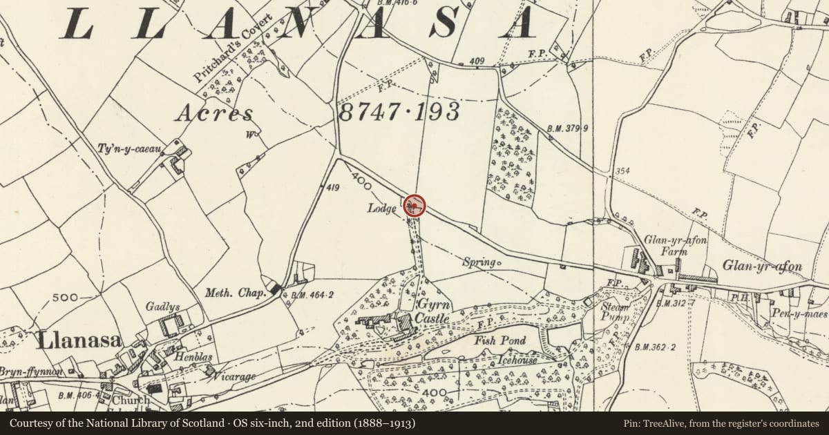 Ordnance Survey six-inch map, 2nd edition (1888–1913) covering the location of Gateway and gates at N entrance to Gyrn Castle, Llanasa, Flintshire, with a pin at the register's coordinates