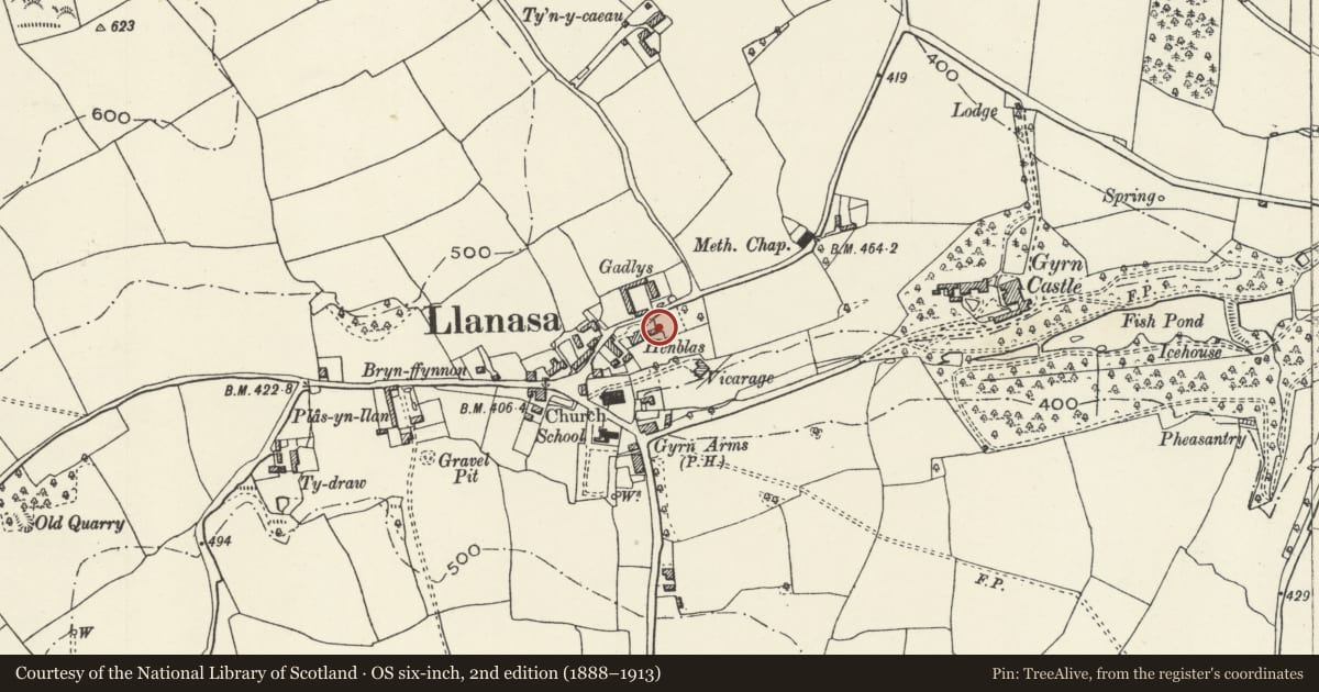 Ordnance Survey six-inch map, 2nd edition (1888–1913) covering the location of Henblas Lodge, Llanasa, Flintshire, with a pin at the register's coordinates