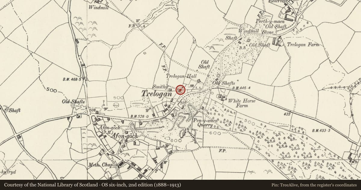 Ordnance Survey six-inch map, 2nd edition (1888–1913) covering the location of Stealey Cottage, Llanasa, Flintshire, with a pin at the register's coordinates