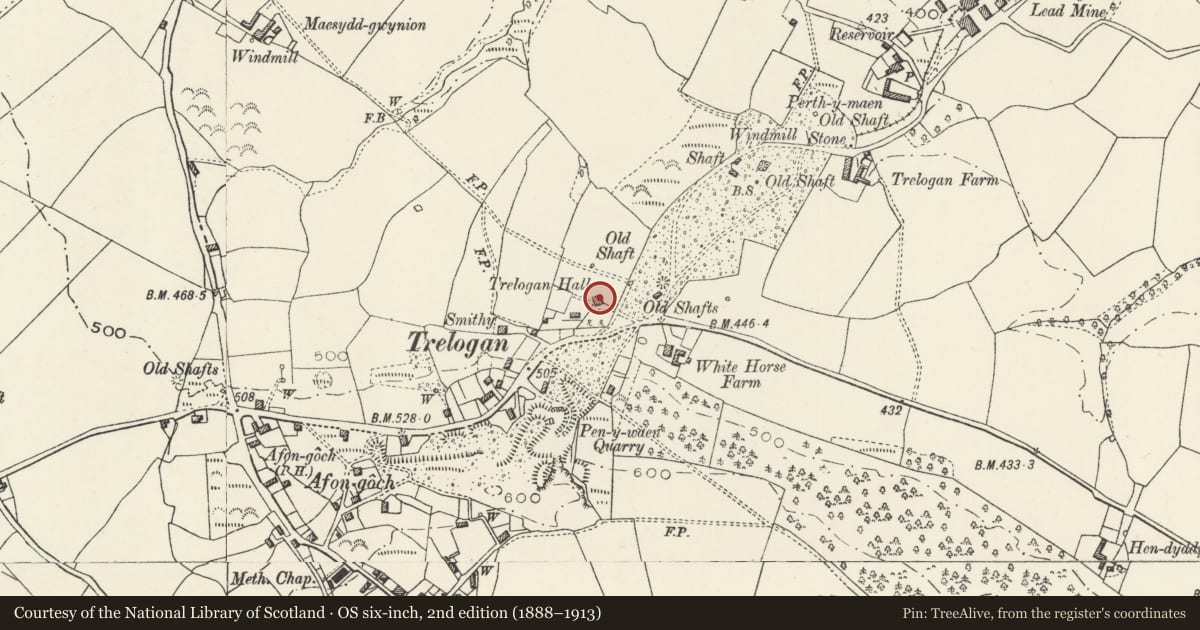 Ordnance Survey six-inch map, 2nd edition (1888–1913) covering the location of Trelogan Hall, Llanasa, Flintshire, with a pin at the register's coordinates
