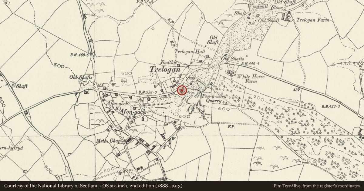 Ordnance Survey six-inch map, 2nd edition (1888–1913) covering the location of Moss Side, Llanasa, Flintshire, with a pin at the register's coordinates