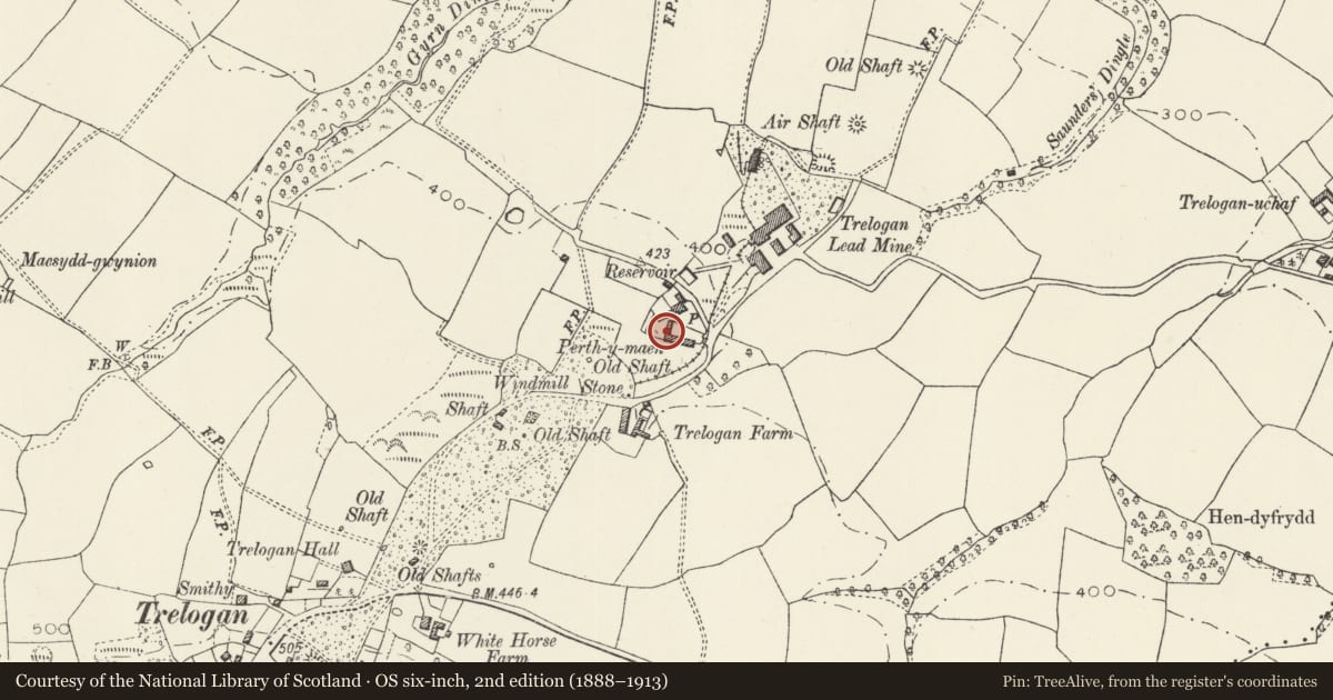 Ordnance Survey six-inch map, 2nd edition (1888–1913) covering the location of Barn with attached cart shed at Berthymaen, Llanasa, Flintshire, with a pin at the register's coordinates
