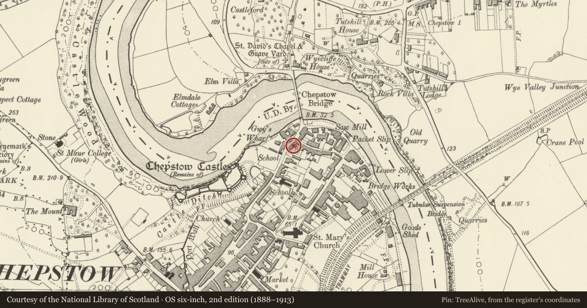 Ordnance Survey six-inch map, 2nd edition (1888–1913) covering the location of 19 Bridge Street, Chepstow, Monmouthshire, with a pin at the register's coordinates