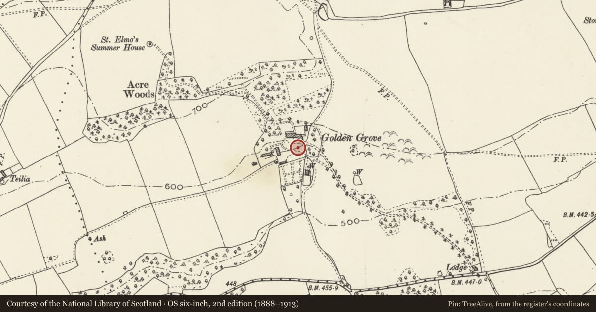 Ordnance Survey six-inch map, 2nd edition (1888–1913) covering the location of Lower steps to terraced garden at Golden Grove, Llanasa, Flintshire, with a pin at the register's coordinates