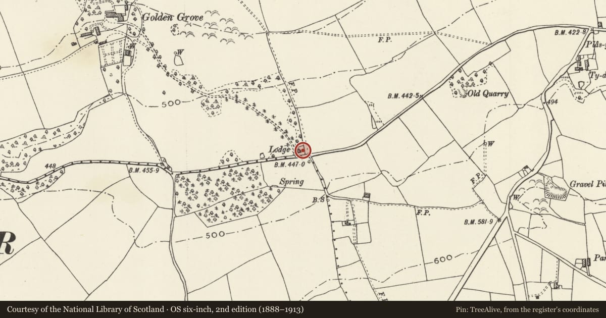 Ordnance Survey six-inch map, 2nd edition (1888–1913) covering the location of Gate Lodge, Llanasa, Flintshire, with a pin at the register's coordinates