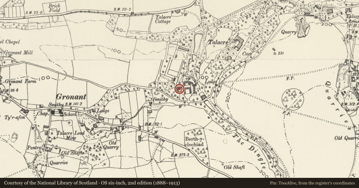Ordnance Survey six-inch map, 2nd edition (1888–1913) covering the location of Outbuilding with pigsties W of Home Farm, Llanasa, Flintshire, with a pin at the register's coordinates