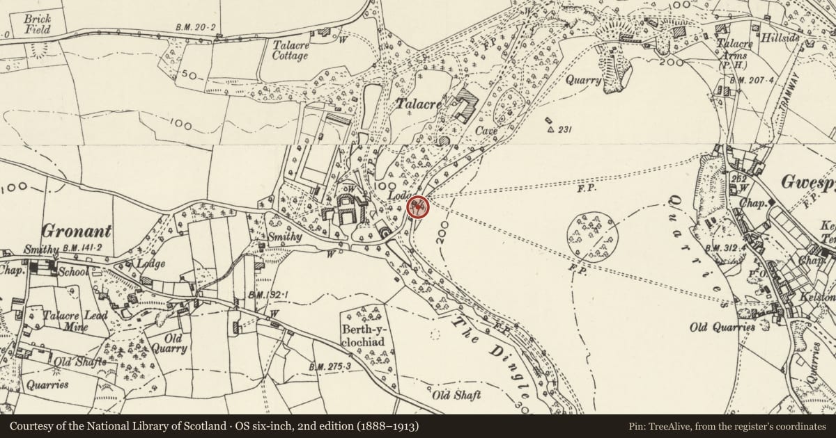 Ordnance Survey six-inch map, 2nd edition (1888–1913) covering the location of Gate piers S of St Benedict's Lodge, Llanasa, Flintshire, with a pin at the register's coordinates